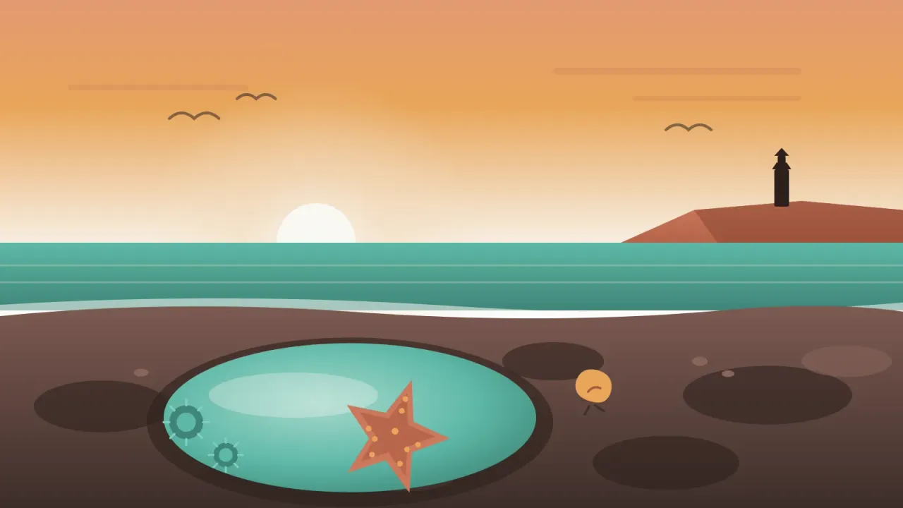 Illustration of a rocky San Diego tide pool at low tide with an orange sea star and green anemones in a clear pool, the Point Loma cliffs and Cabrillo lighthouse silhouette behind, in the brand's coral and amber palette
